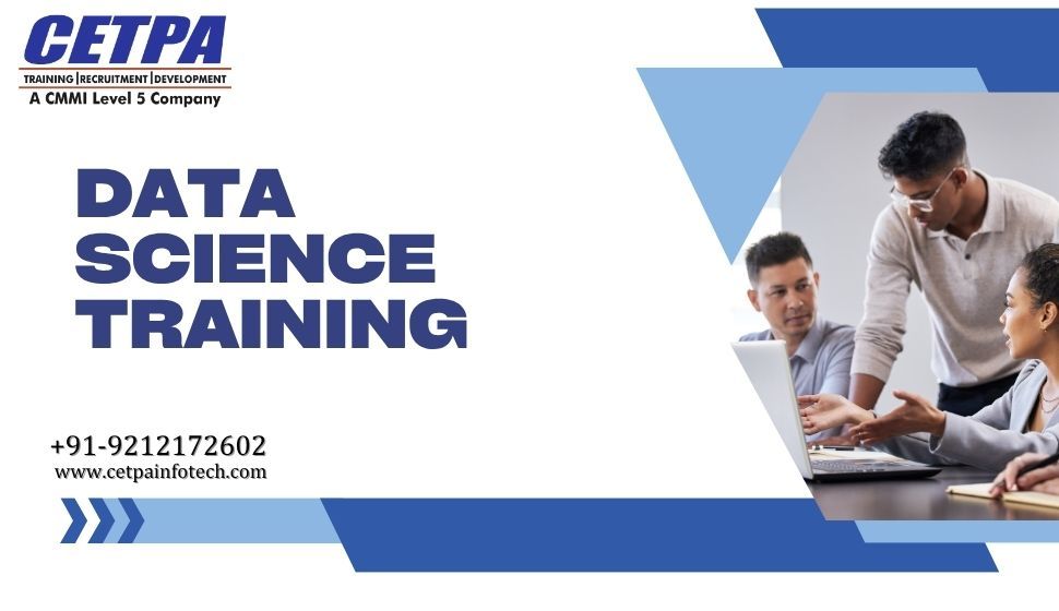 Beyond the Hype: How to Choose a Career-Defining Data Science Path